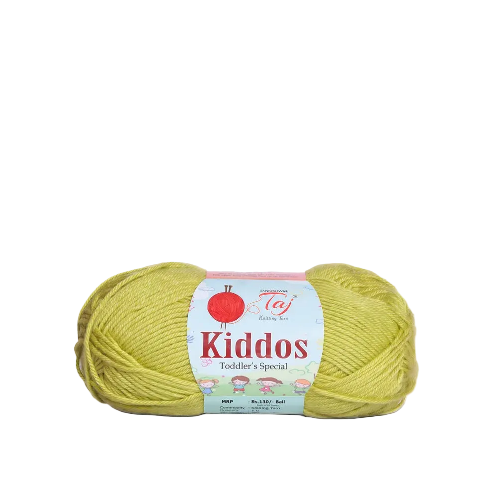 A skein of Taj Family Fun Kiddos Toddler's Special yarn