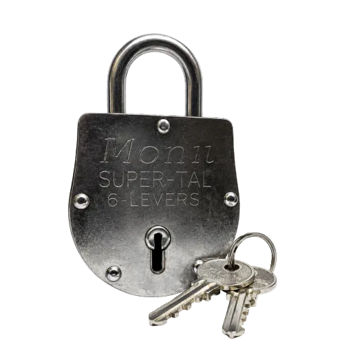 A heavy-duty metal padlock with a shackle and two keys,