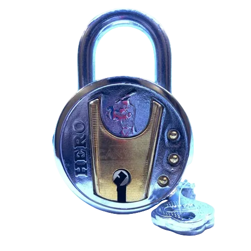 Canyon Padlock Key, Main Door, Padlock Size: 65 mm