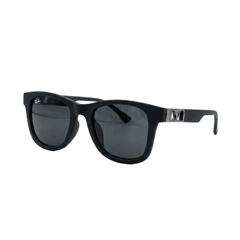 Black Wayfarer-style sunglasses with dark lenses and a silver-toned metal logo accent on the temple 